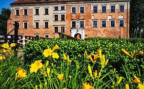 Zamek Uniejow